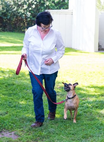 dog trainer teaching dog heel.